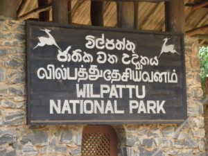 Wilpattu National Park