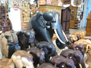 Elephants for sale