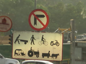 Uninvited guests on a Motorway