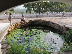 Water with water lilies