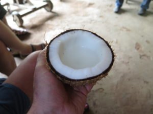 Kokosnødder kan bruges til mange ting. Set ved grøntsagsboder ved vejen