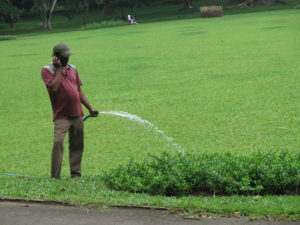 Havevanding i Botanisk Have i Kandy