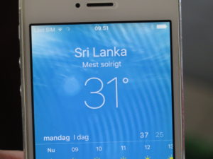 31 degrees Celsius in Sri Lanka