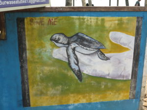 Picture at the entrance to the Turtle Farm