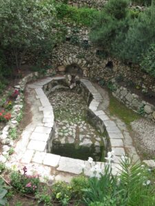 Vingård i Garden Tomb