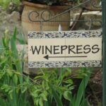 Winepress i Garden Tomb