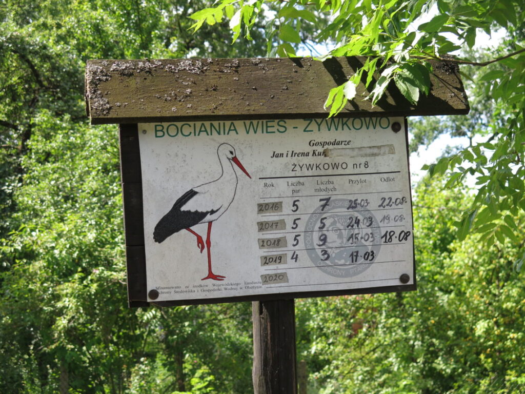 Afrejsedatoer for storke i Wozkowo i Polen